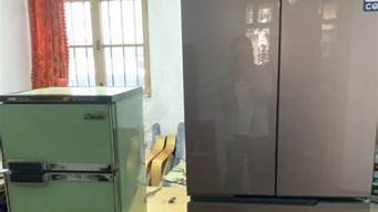 上海冰箱以旧换新_上海旧冰箱回收价格表