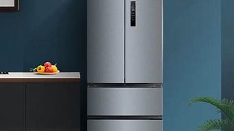 美的电冰箱 双门 节能_美的电冰箱 双门