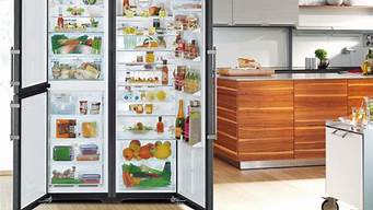 利勃海尔冰箱质量怎么样_利勃海尔冰箱质量