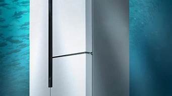 松下冰箱和西门子冰箱哪个好_十大名牌冰箱排名榜_1