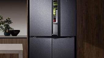 小米冰箱603L是正规还是仿_1