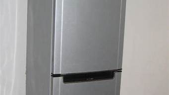 冰箱不制冷风扇坏了怎么修_冰箱不制冷风扇