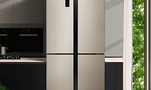 冰箱质量排名_冰箱质量排名前十名的品牌