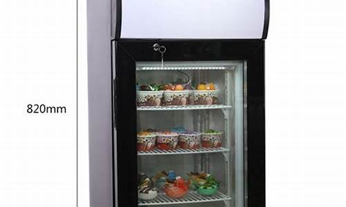 小冰箱展示柜_小冰箱展示柜价格及图片