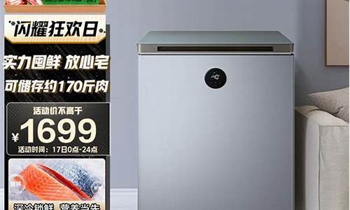 小冰柜价格300元以下_小冰柜价格300元以下哪个牌子好